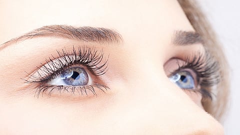 eyes.jpg