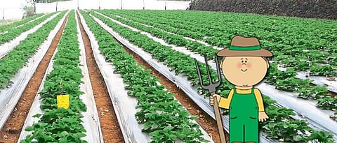 A career in agricultural engineering Here are the options Nagpur news