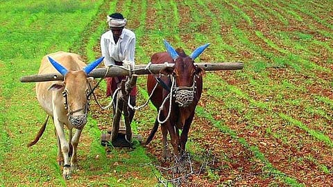 FARMER