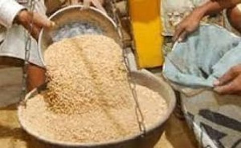 food grains.jpeg