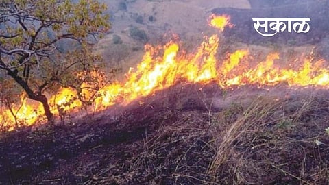 Satara Latest Marathi News