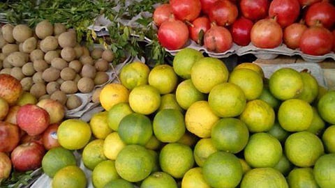 fruit