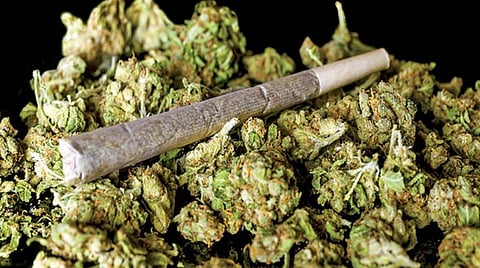 ganja