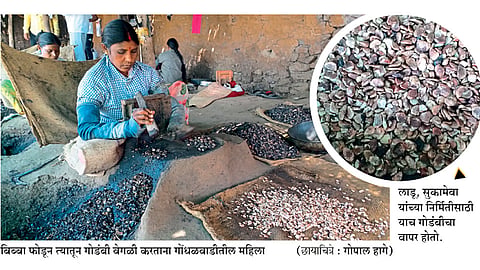 पौष्टीक गोडंबीने वाढवली सुका मेव्याची लज्जत