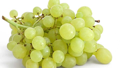 Grapes Health Benefits