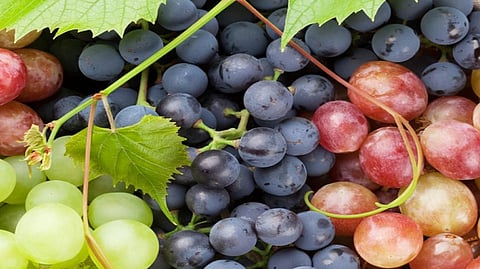 grapes