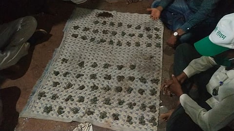 pots of secret treasure found in anuskura Kolhapur