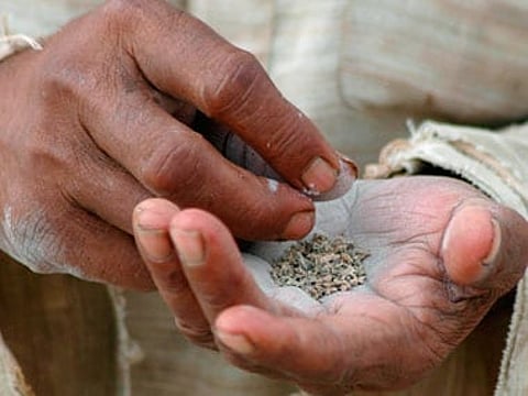 gutka