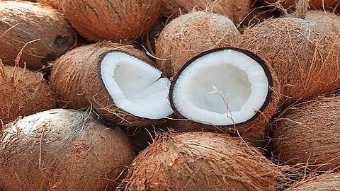 halved the demand for coconut on Navratri due to corona
