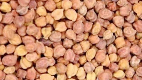 harbara