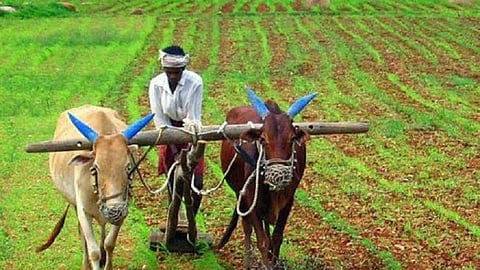 कर्जमुक्ती मिळणार