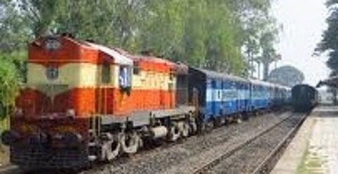 indian rail.jpg