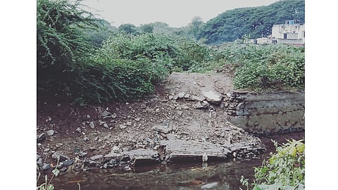 jambhulkar-mala.jpg