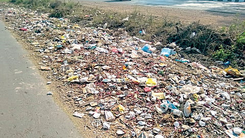Satara Latest Marathi News, Satara News