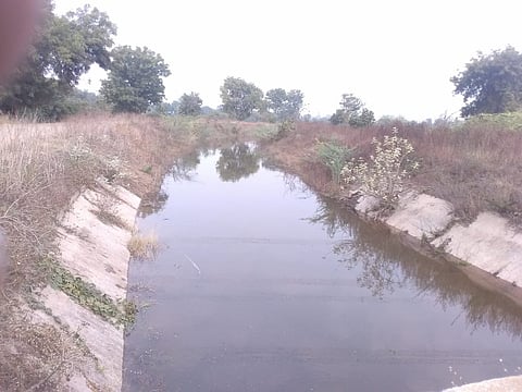 kalva
