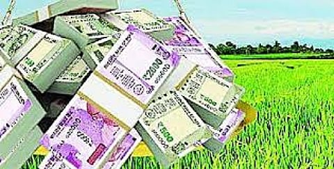 Allocation of thousands of crores for crop loans in Nagar distric