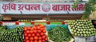 market committee elections