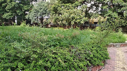 lohiya gardaN.jpg