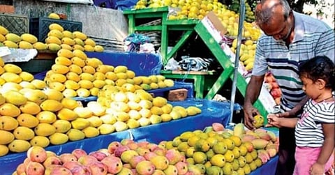 Mango has not entered the Nipani market due to a month-long lockdown on the back of corona.