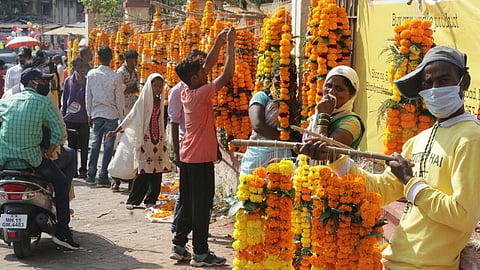 marigold.jpg
