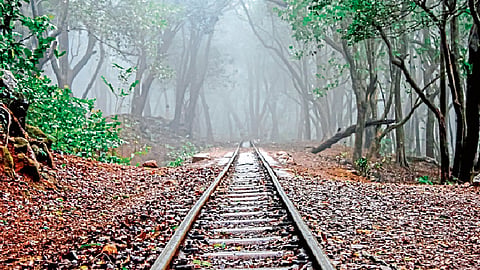 मिनी महाबळेश्वर - माथेरान