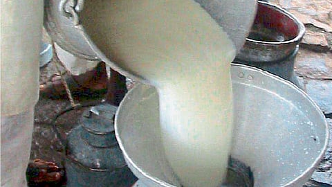 milk
