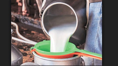 Punekars will receive 12 lakh liters milk from Saturday at home