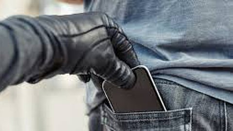 mobile thief