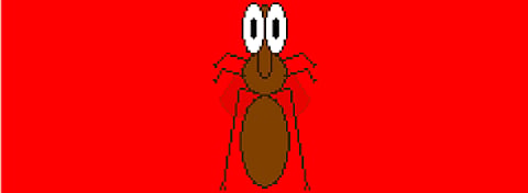mosquito.