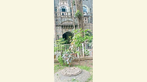 रंग मुंबईचे : मुंबईची गोष्ट सांगणाऱ्या वास्तू