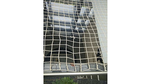 net.jpg