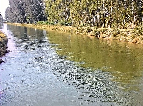 Abundant water in the Nira Valley dam still planted crops on the right canal