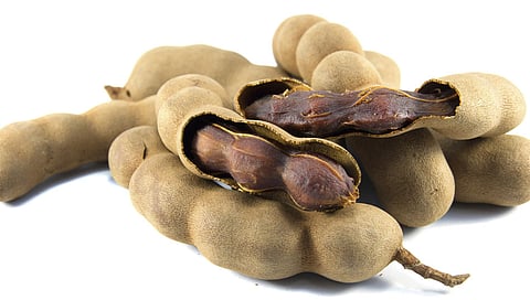 TAMARIND