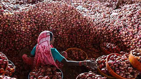 onion subsidy