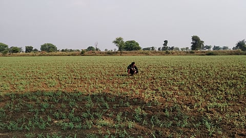 पिक