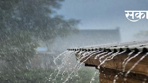 Rain