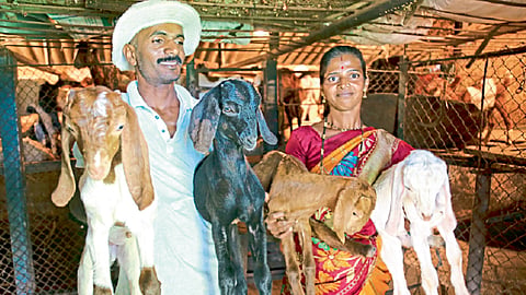 ramdas-bule