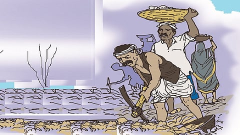 संग्रहित चित्र.