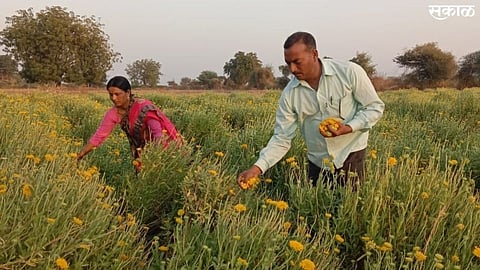 Agricultur News Aurangabad