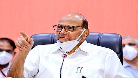 sharad pawar said in amboli for the development of konkan fruit in sindhudurg