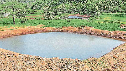 The collective farm pond grant is not even after ten months