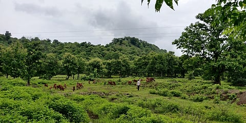 shravan