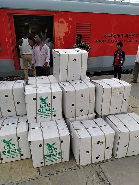 simla mirchi transport.jpg