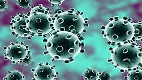 some Home quarantine Citizen are missing form pune corona Virus.jpg