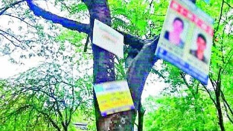 tree bord.jpg