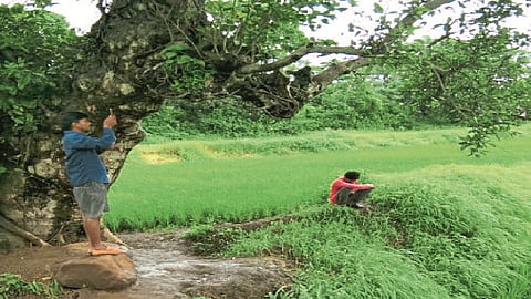 udapur