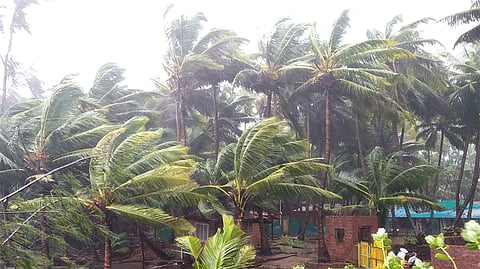 Tauktae Cyclone Update : देवगडात वादळी वार्यासह जोरदार पाऊस