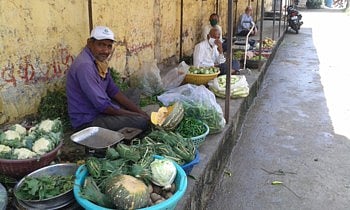 vegetable