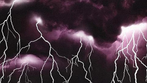 Electricity kills six in Yavatmal district
