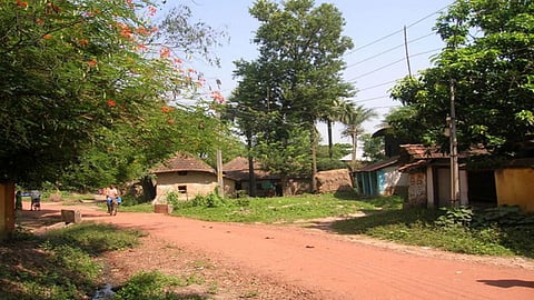 सातारा, सांगली, कोल्हापूर, रत्नागिरी जिल्ह्यातील 'ही' गावे वगळू नका; काेणी केली सरकारला मागणी, पर्यावरणप्रेमींनी नक्की वाचा